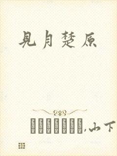 见月楚原封面