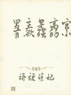 男主是高官且占有欲强的小说封面
