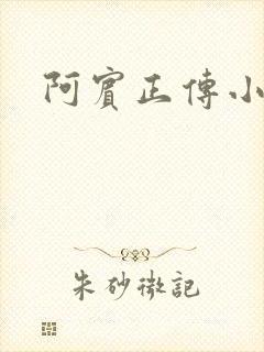 阿宾正传小说