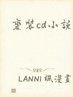 变装cd小说封面