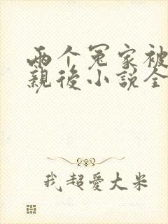 两个冤家被迫成亲后小说全文阅读