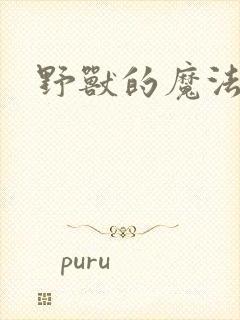 野兽的魔法师