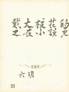 戴大校花的女神之夜小说免费阅读