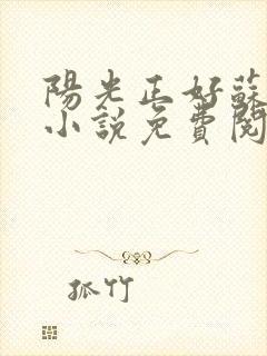 阳光正好苏玥玥小说免费阅读无弹窗封面