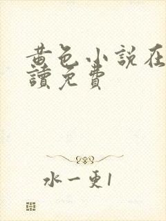 黄色小说在线阅读免费