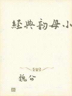经典韵母小说封面