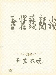 王悍苏祁小说免费在线阅读