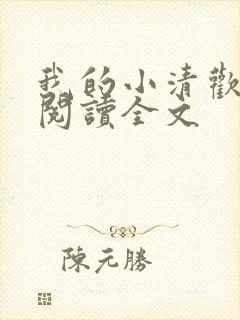 我的小清欢阅读阅读全文封面