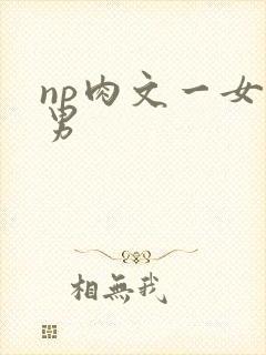 np肉文一女多男