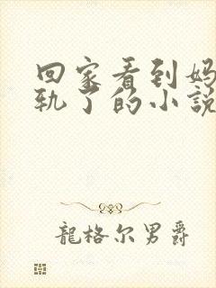回家看到妈妈出轨了的小说叫什么