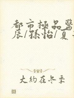 都市极品医神叶辰/孙怡/夏若雪