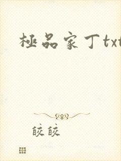 极品家丁txt