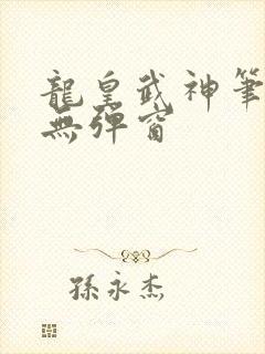 龙皇武神笔趣阁无弹窗