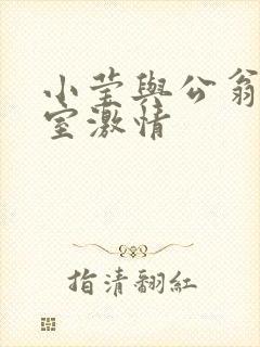 小莹与公翁办公室激情
