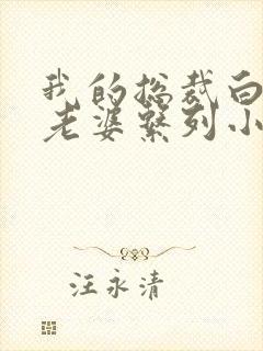 我的总裁白富美老婆系列小说