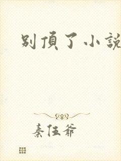 别顶了小说