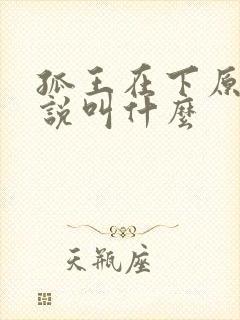 孤王在下原著小说叫什么