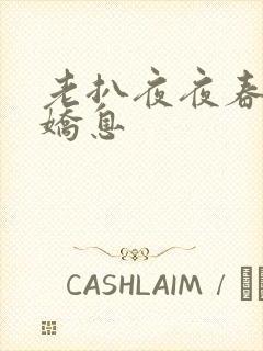 老扒夜夜春宵伴娇息