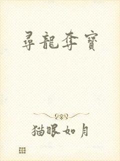 寻龙夺宝