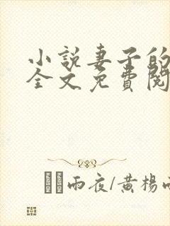 小说妻子的秘密全文免费阅读全文