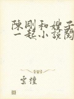 陈刚和嫂子妹妹一起小说阅读全文封面