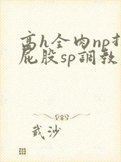 高h全肉np打屁股sp调教老师