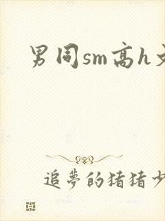 男同sm高h文