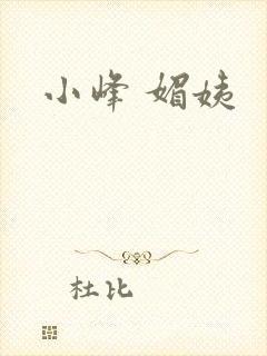 小峰 媚姨封面