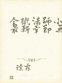 全职法师小说 最新章节 无弹窗