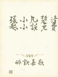 张小凡楚清璇穿越小说免费阅读