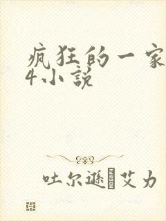 疯狂的一家ps4小说