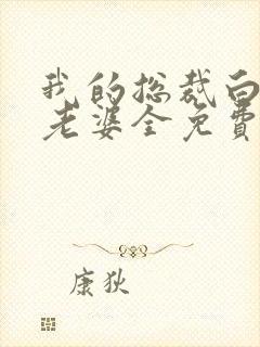 我的总裁白富美老婆全免费的小说