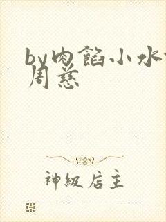by肉馅小水饺周慈封面