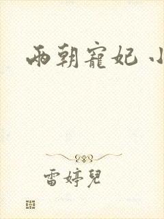 两朝宠妃 小说