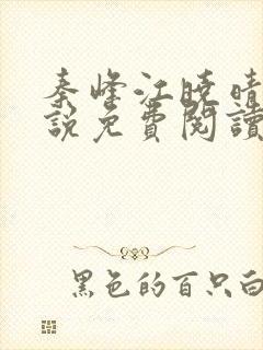 秦峰江晓晴的小说免费阅读
