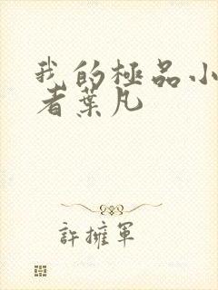 我的极品小姨作者叶凡