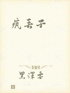 疯丢子封面