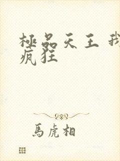 极品天王 我本疯狂