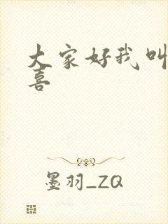 大家好我叫林小喜
