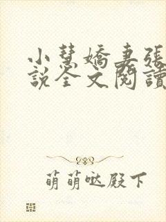 小慧娇妻张凯小说全文阅读