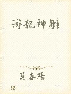 游龙神雕封面