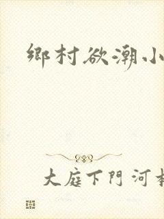 乡村欲潮小说