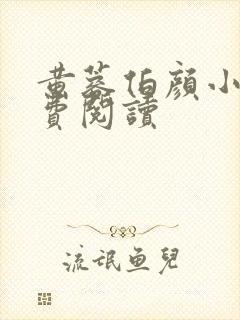 黄蓉伯颜小说免费阅读