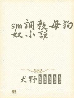 sm调教母狗女奴小说封面