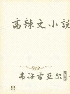 高辣文小说