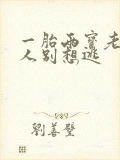 一胎两宝老婆大人别想逃