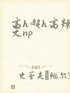 高h超h高辣h文np