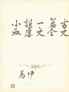 小说一篇古早狗血虐文全文免费阅读