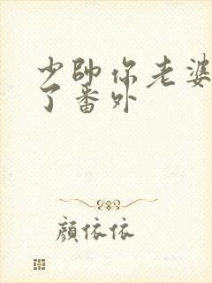 少帅你老婆又跑了番外