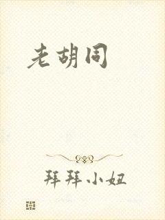 老胡同